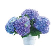 dropdown-2 dropdown-2