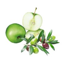 dropdown-4 dropdown-4